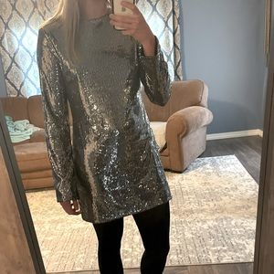 Shiny Silver Winter Dress